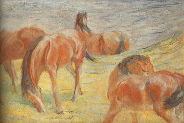 Chevaux paissant